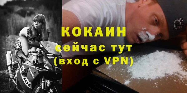 сатива Покачи
