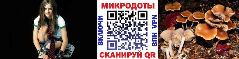 Псилоцибиновые грибы GOLDEN TEACHER  наркотики  Благовещенск 
