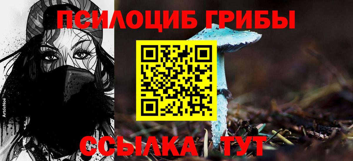 Благовещенск  Галлюциногенные грибы Psilocybine cubensis  Вход с VPN  Галлюциногенные грибы мухоморы 