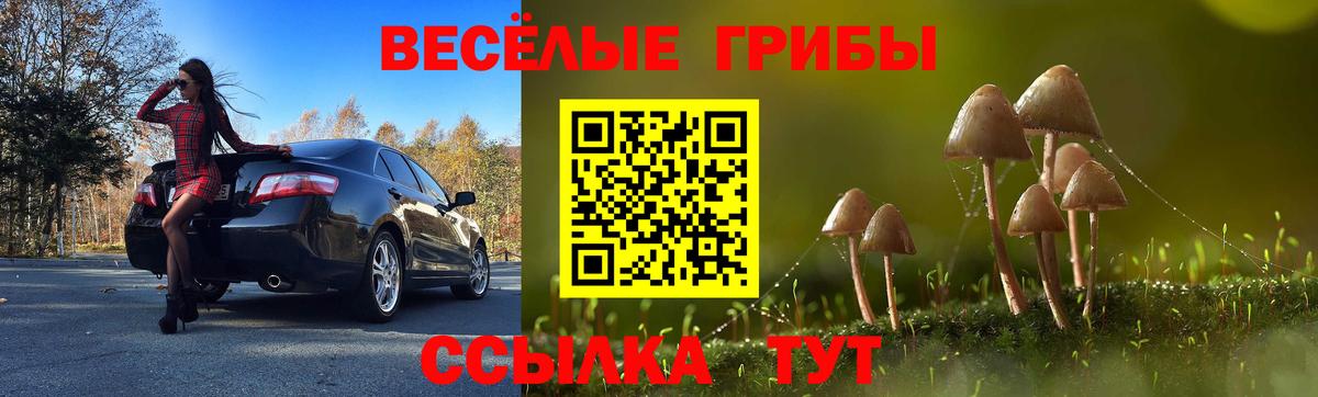 Галлюциногенные грибы мицелий Благовещенск